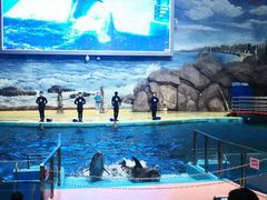 -福州罗源湾海洋世界旅游区