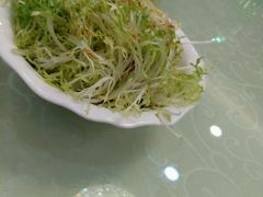 -顺德佬(石厦店)