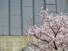 -龙美术馆(西岸馆)