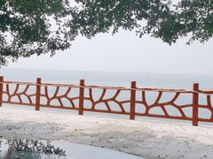 -七鲜渔港美食餐厅(巽寮湾海景店)