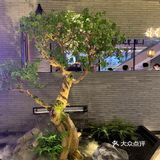 广州探店🍃｜阿强家酸菜鱼🐟｜最好吃的酸菜鱼