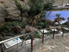 -国家自然博物馆