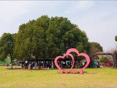 -梁鸿国家湿地公园