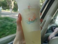 云雾版栀晓-茶颜悦色(登高路上店)