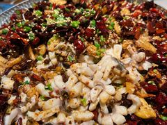 -三猫黑鱼花(南大店)