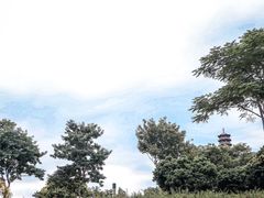 -红花山公园