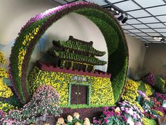 -杭州植物园