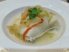 -桃苑(华侨银行大厦店)