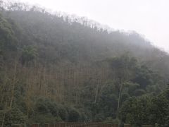 -凤栖山