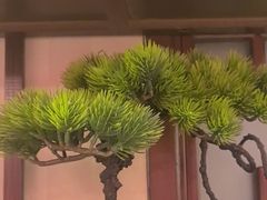 -梁溪河畔·吉府花园(南长街南下塘店)