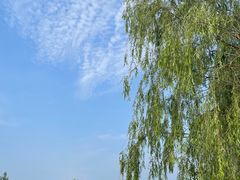 -马家湾湿地公园