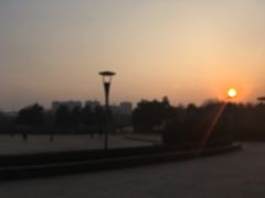 園內環境-郑州植物园