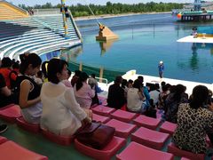 -秦皇岛乐岛海洋王国