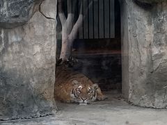 -南昌动物园