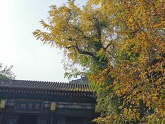 -湘子庙