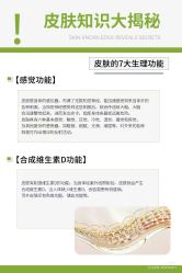 点击看大图 -玛莲朵·海菲秀冰珀科