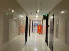 -杨姨妈丝娃娃(花果园店)