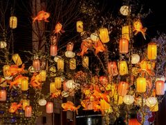 -龙湖星悦荟(颐和店)