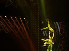 -珠海横琴长隆《卡卡虎奇遇记》