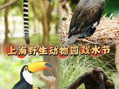 -上海野生动物园