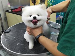 -美联众合动物医院(唯恩分院)