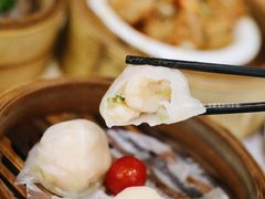 -点都德(华强南店)