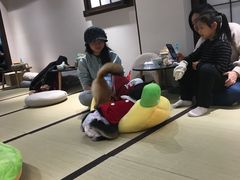 -逗柴咖啡屋·狗咖猫咖宠物桌游