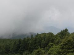 -白草畔自然风景区