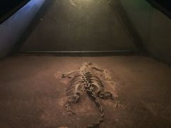 -世界恐龙谷景区