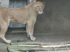 -西安秦岭野生动物园