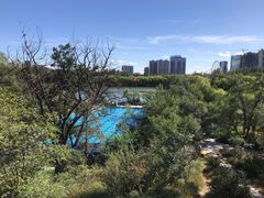 -青城公园