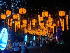 -广西壮族自治区药用植物园