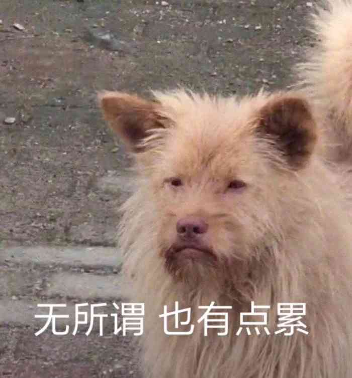 日本银座calla专业脱毛连锁机构(海岸城店)-"环境不错,服务也不错