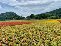 -广州市石门国家森林公园