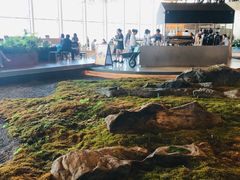 -Seesaw Coffee(朝阳大悦城店)