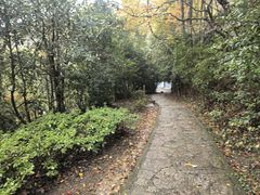 -黄山翡翠谷景区