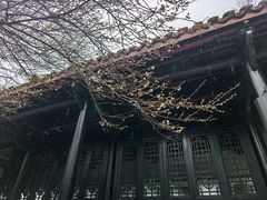 -白鹿洞书院
