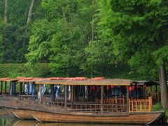 -溱湖国家湿地公园