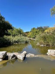 -大望京儿童游乐场