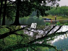 -上海共青森林公园