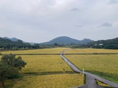 -艾米稻香小镇