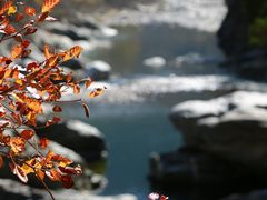 -黑河国家森林公园
