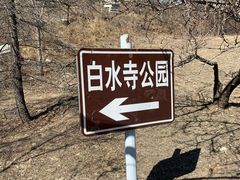 -白水寺森林公园