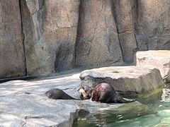 -宁波野生动物园