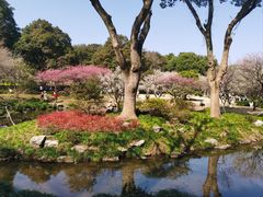 -杭州植物园