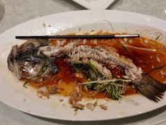 清蒸鲈鱼-香丰阁·烤鸭·川湘菜(清河店)