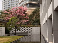 -深圳大梅沙京基洲际度假酒店