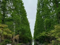 -东平国家森林公园