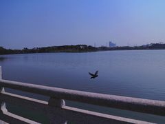-海珠湖公园