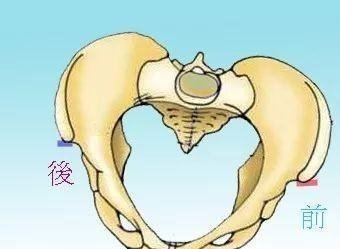 跷二郎腿骨盆图片